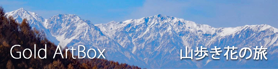 山旅画像