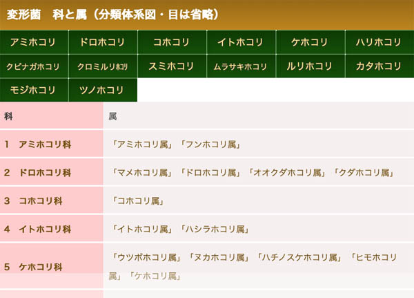 分類体系で掲載