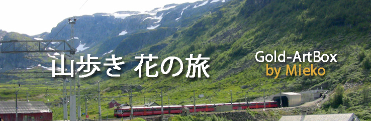 フィヨルドの中の駅ミュルダール駅／「山歩き・花の旅」Click=戻る