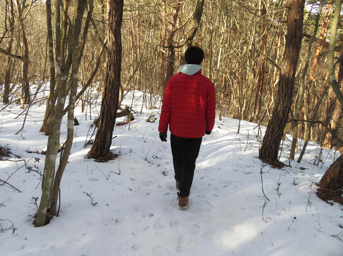 photo：稜線は一面の雪：地附山
