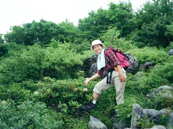 photo ：キバナシャクナゲが咲いてる：蓼科山