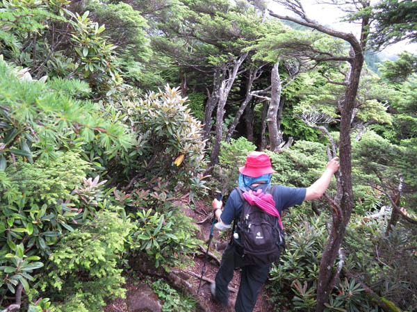 photo：篭ノ登山、東と西の鞍部へ降る：篭ノ登