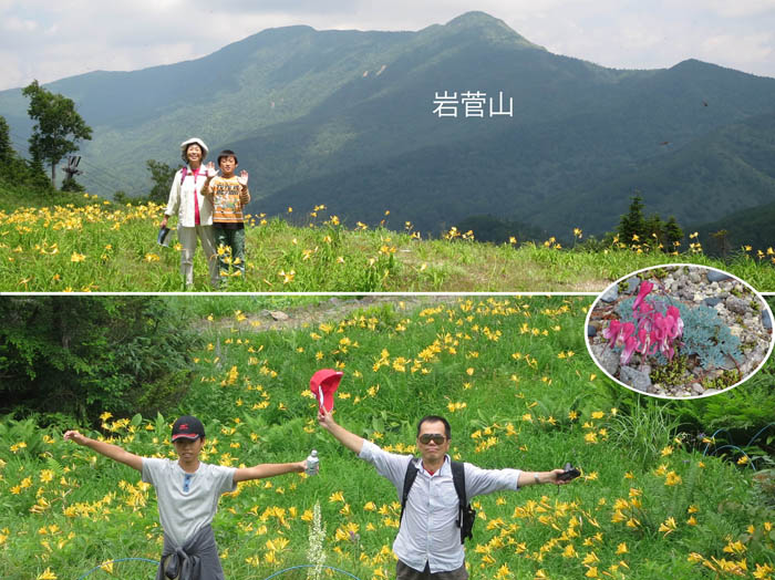 photo：志賀高原東館山にて,岩菅山,コマクサ,2014.7.30：