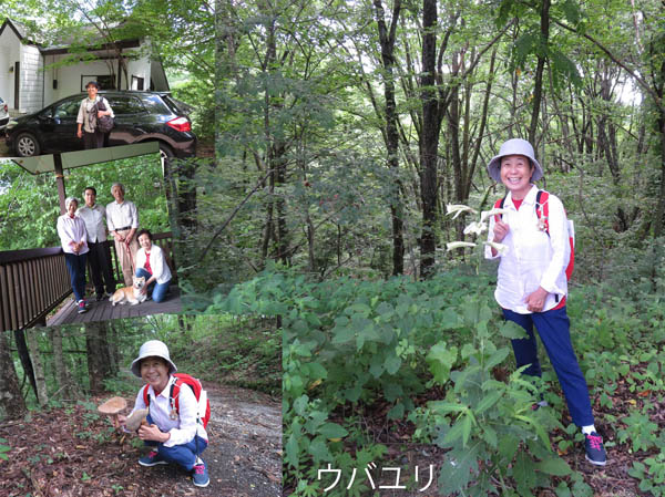 photo：ウバユリ：北軽井沢を散歩