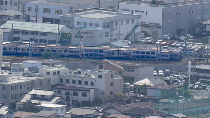 軸が真っ黒な粘菌：地附山