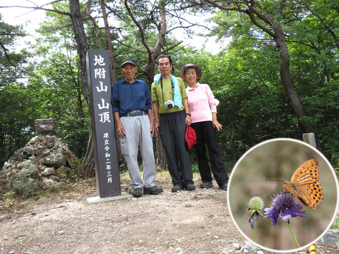 ヒョウモンチョウ,地附山山頂にて