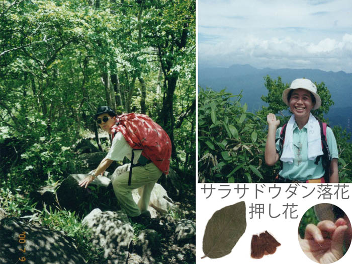 photo：落ちていくような降り　花を拾う：赤城山