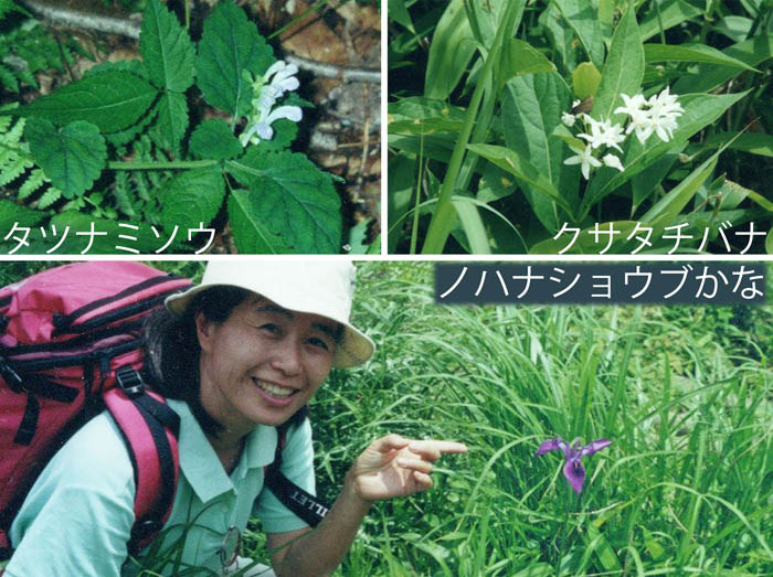 photo：花を見つけながら登る：赤城山