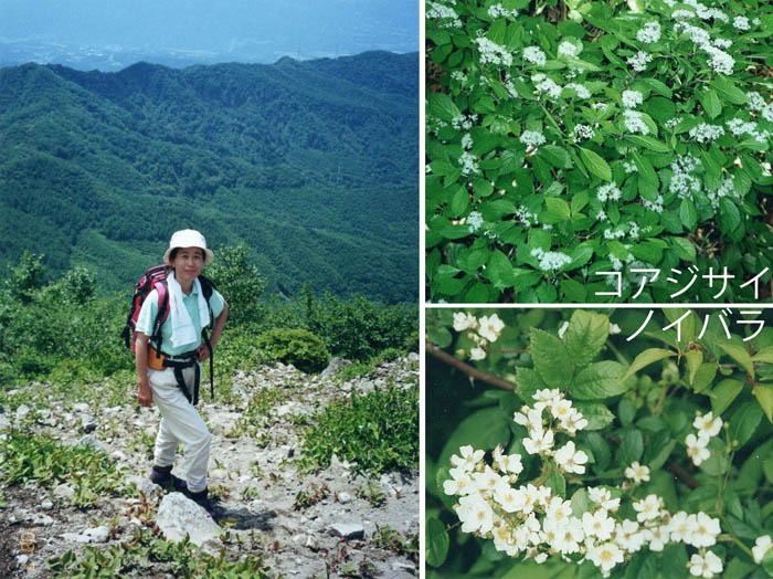 photo：町を見下ろして登る：赤城山
