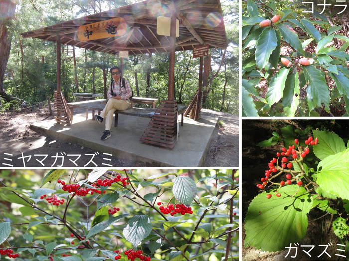 photo：中竜四阿で一休み：臥竜山