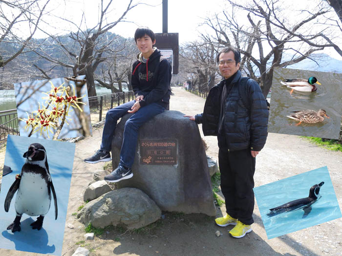 photo：孫と遊んだ臥竜公園