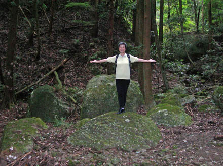 photo：魅力的な沢：日向山