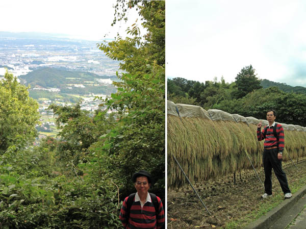 photo：山頂から見下ろす田園：日向山