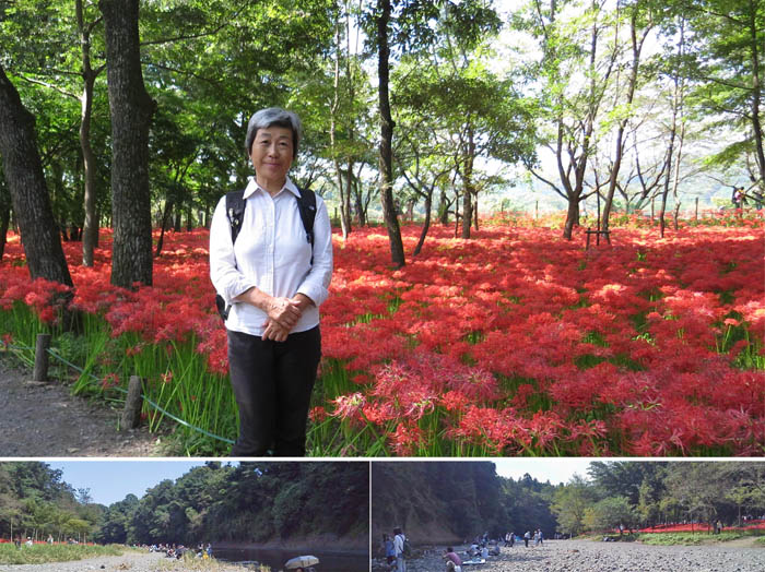 photo：巾着田にて