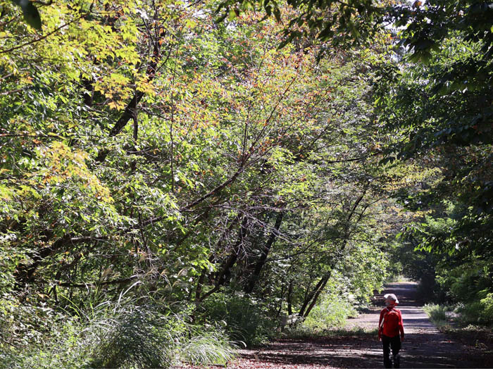 photo：色づいてきた地附山10月1日