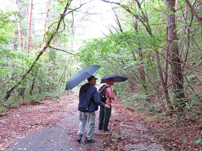 photo：雨が降ってきたけれど：地附山