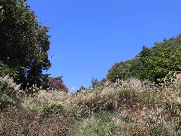 天気は快晴：旭山