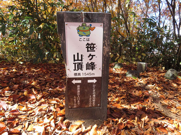 山頂表示：妙高笹ヶ峰