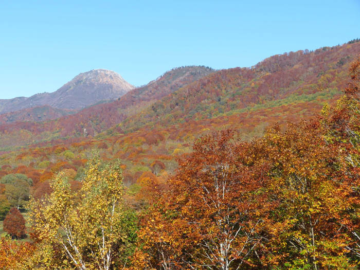 妙高山の南西側斜面