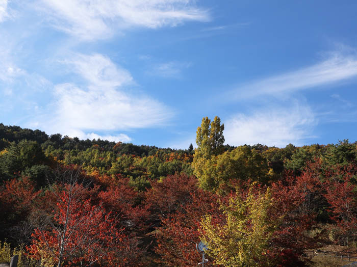 地附山公園
