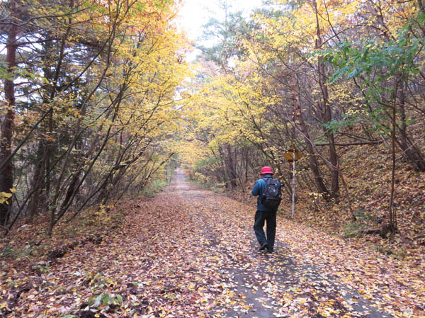 地附山の紅葉