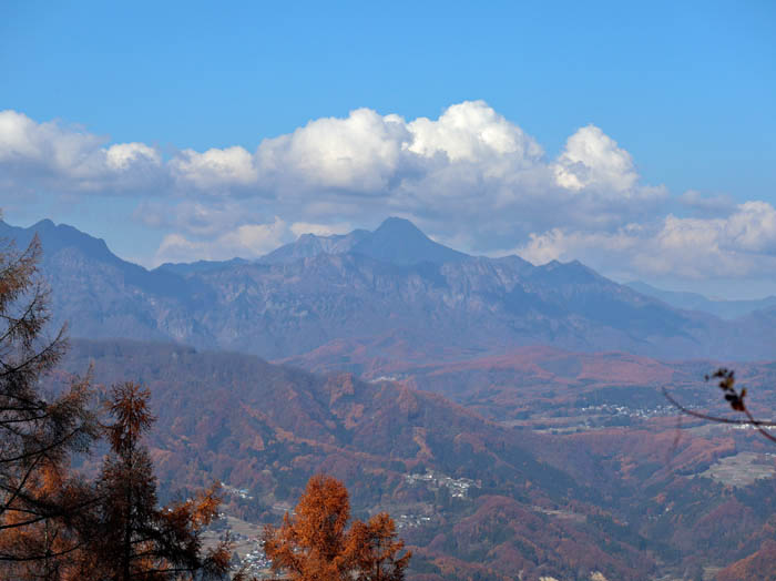 変形菌：陣馬平山
