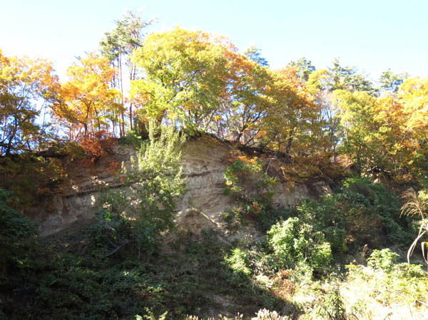 photo：有旅茶臼山：長野市