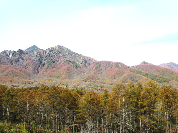 photo：高妻山中腹の紅葉：戸隠高原から