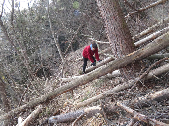 photo：道が消えている：葛山