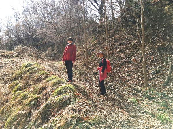 photo：境沢登山口から登る：頼朝山
