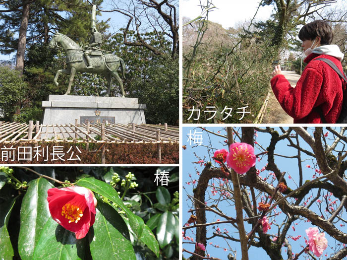 photo：梅の花など：高岡古城公園で