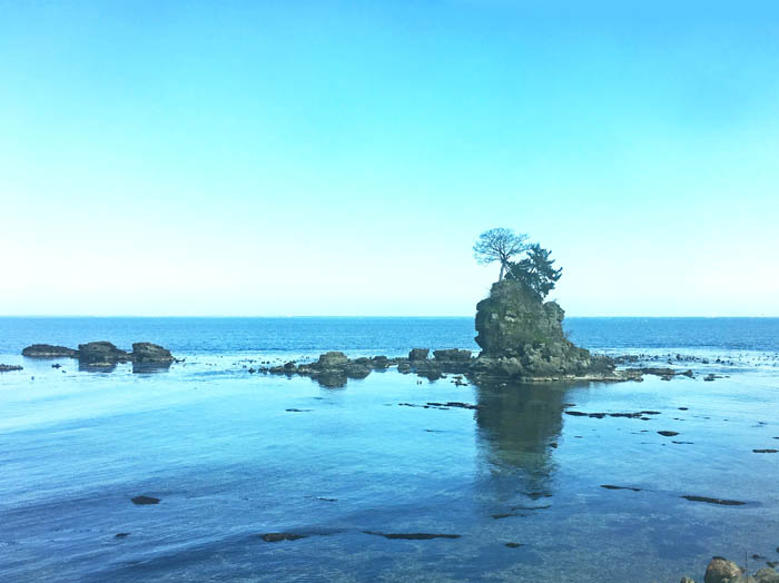 photo：氷見線車窓から富山湾