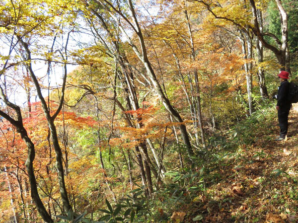 photo：陣場平山の紅葉