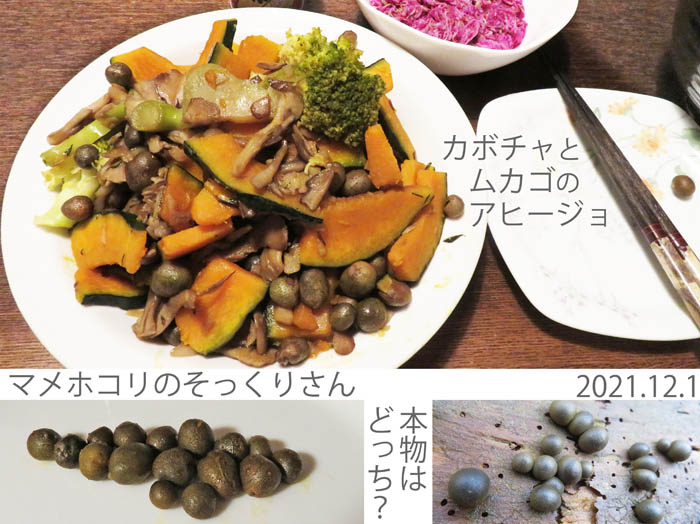 photo：今日の夕食はムカゴ：地附山