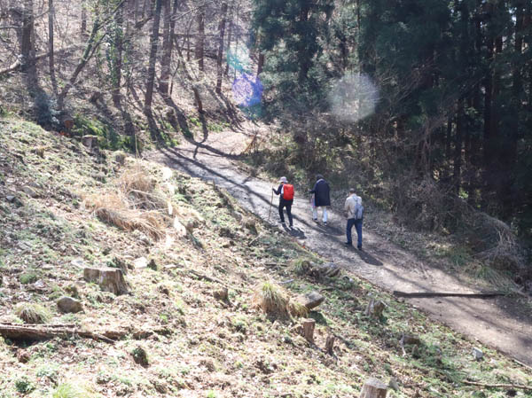 山道を歩く：戸倉セツブンソウ群生地