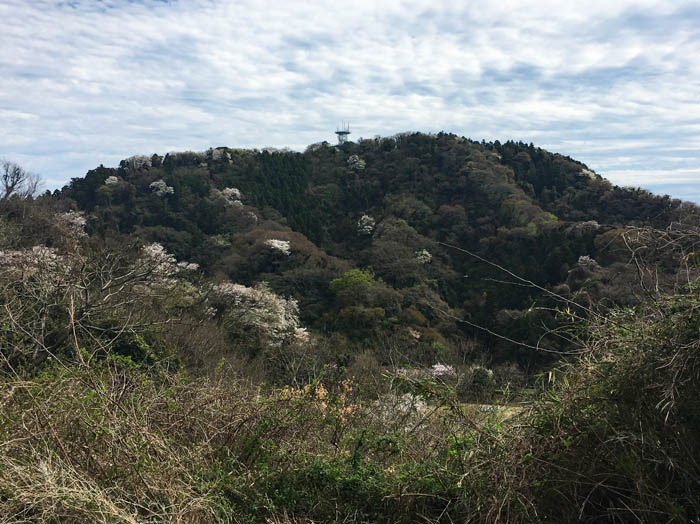 二子山：葉山町、横須賀市