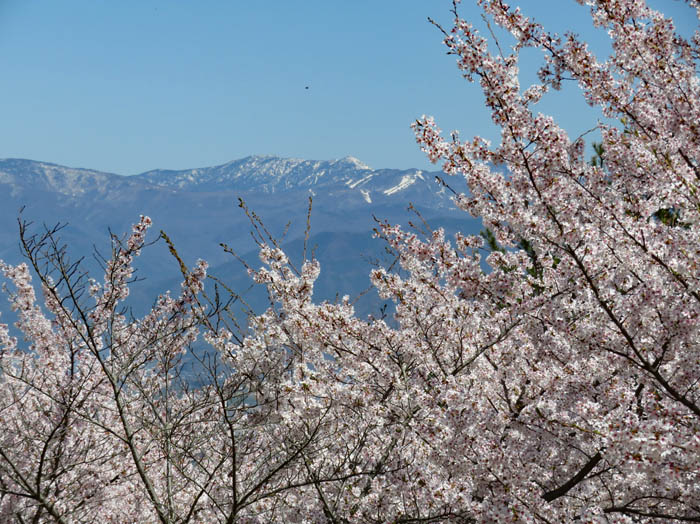 岩菅山：地附山から
