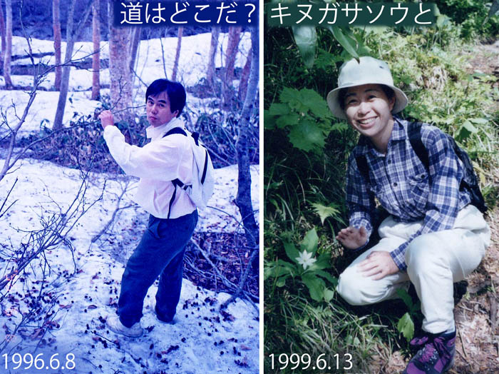 写真1同じ6月とは思えないカヤの平