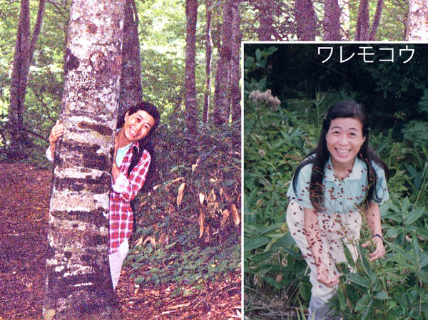 写真3ブナの森で遊ぶ：カヤの平