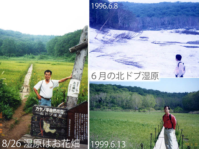 写真7年によって風景が変わる北ドブ湿原：カヤの平