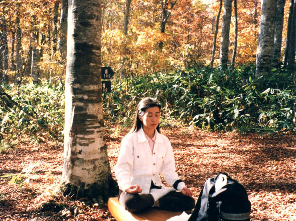 写真2紅葉輝くブナの森1997.10.10：カヤの平