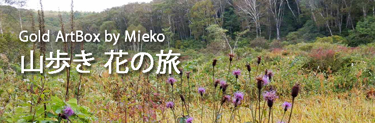 「山歩き・花の旅」Click=戻る