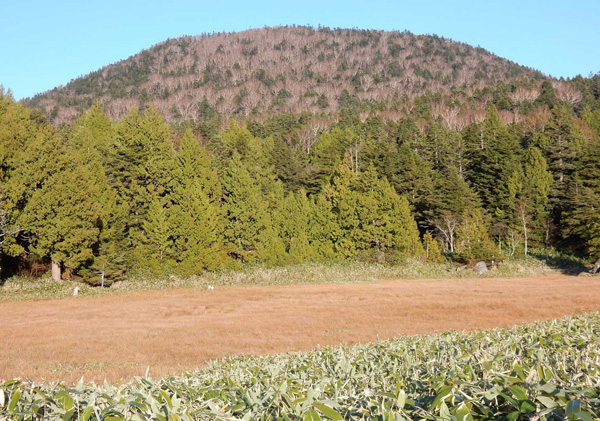 写真・志賀高原の前山湿原と鉢山