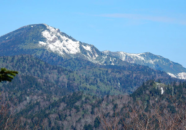 写真・岩菅山