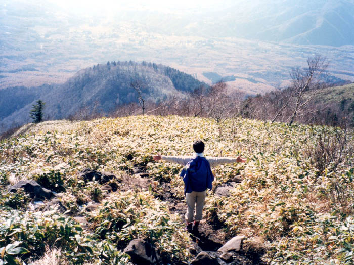写真5薄雪被る草原19971102：飯縄山