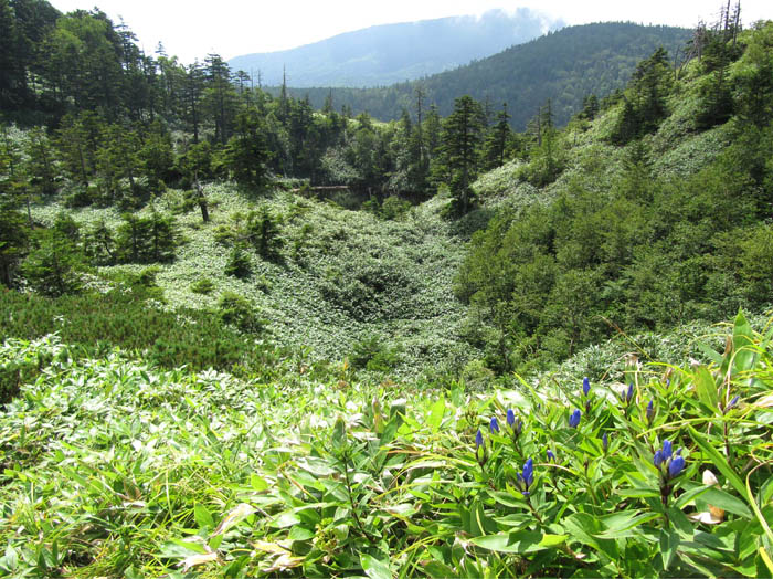 写真15登山道からの眺め：志賀高原