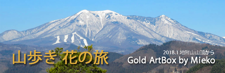 「山歩き・花の旅」Click=戻る