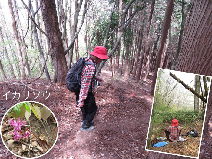 photo：山頂直下の急斜面：天城山