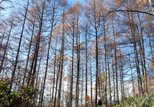 写真・山頂