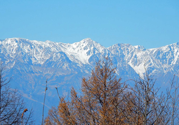 写真・白馬三山